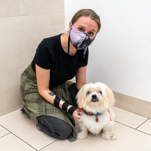 Belfi, adopted from Animal Haven, going home with his new mom!