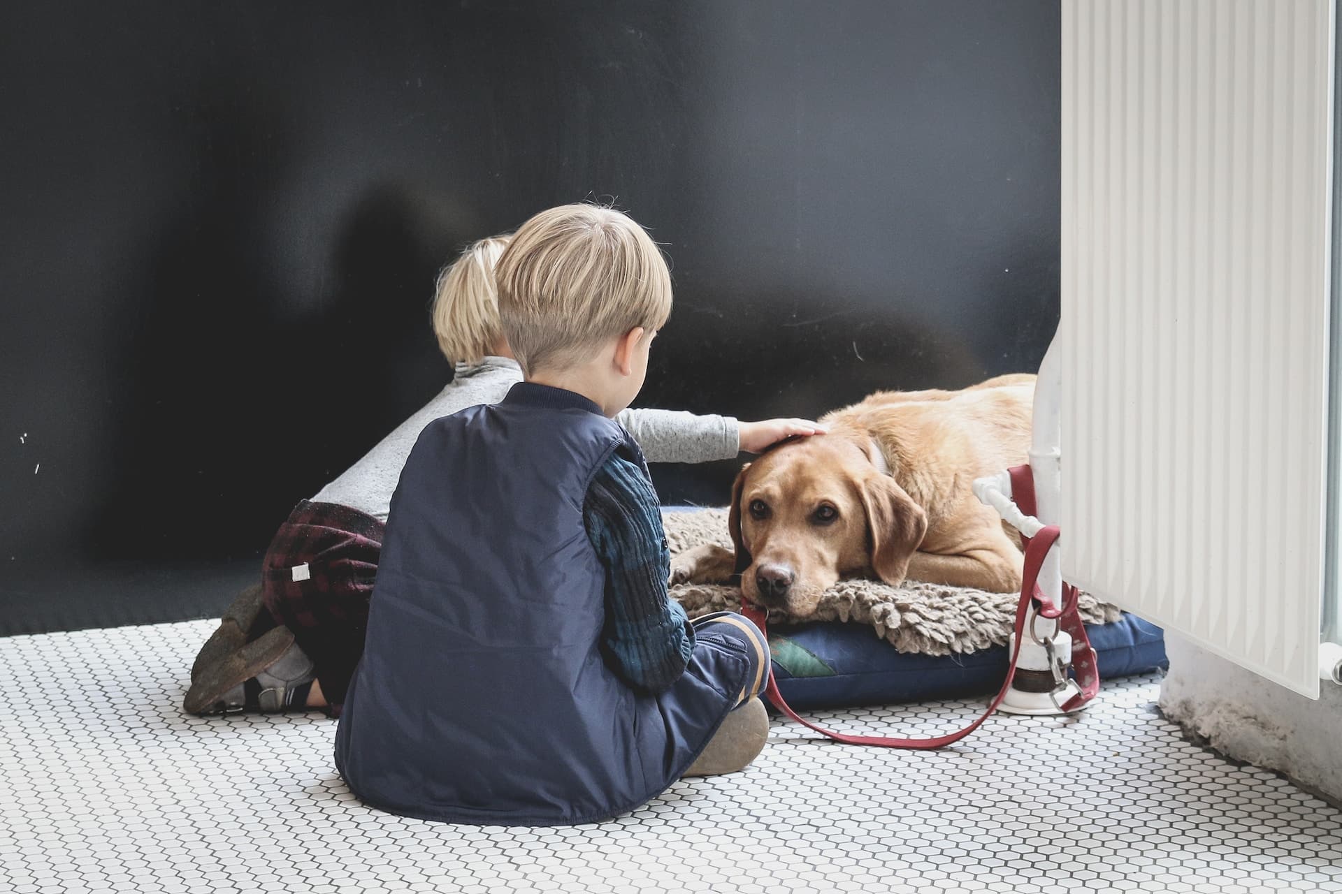 Two young boys pay attention to a dog.