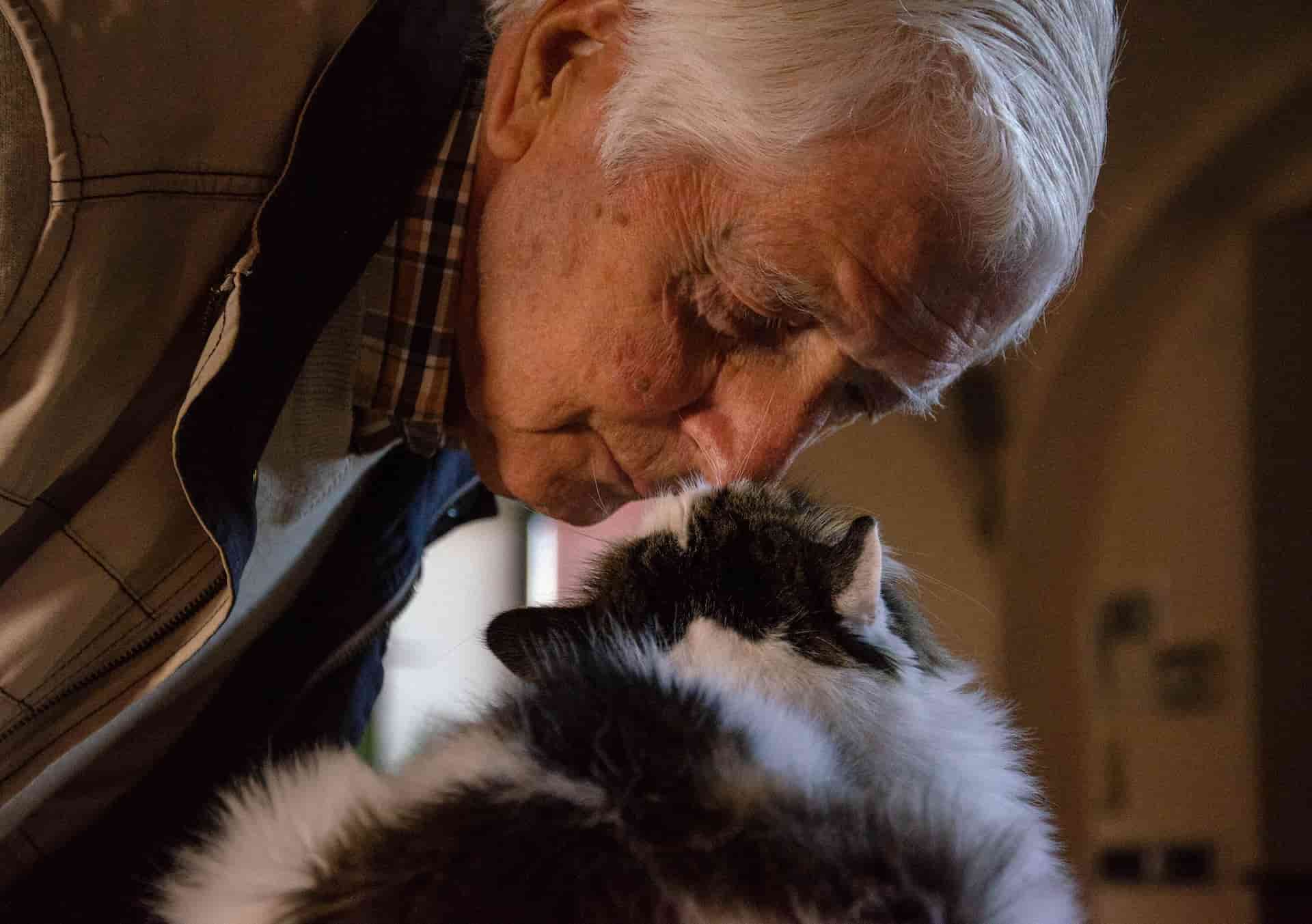 An older man affectionately nuzzles his cat, who also does so in return.