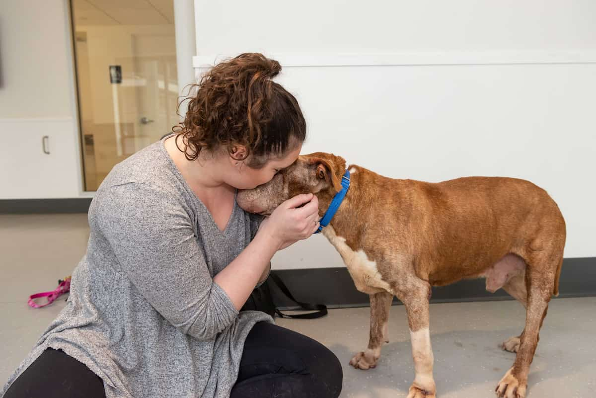 A woman holds her adopted dog affectionately.