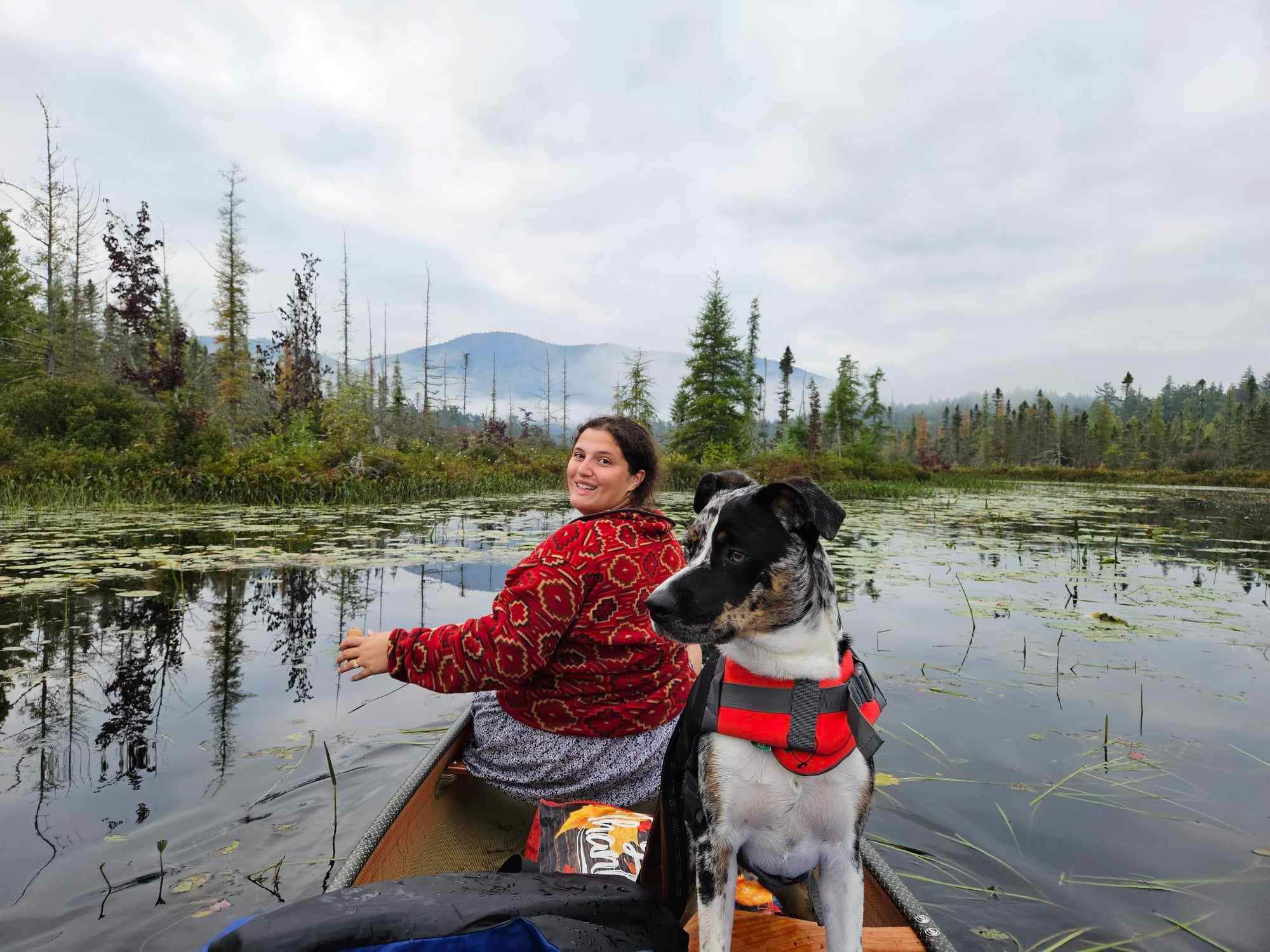 dog on a canoe